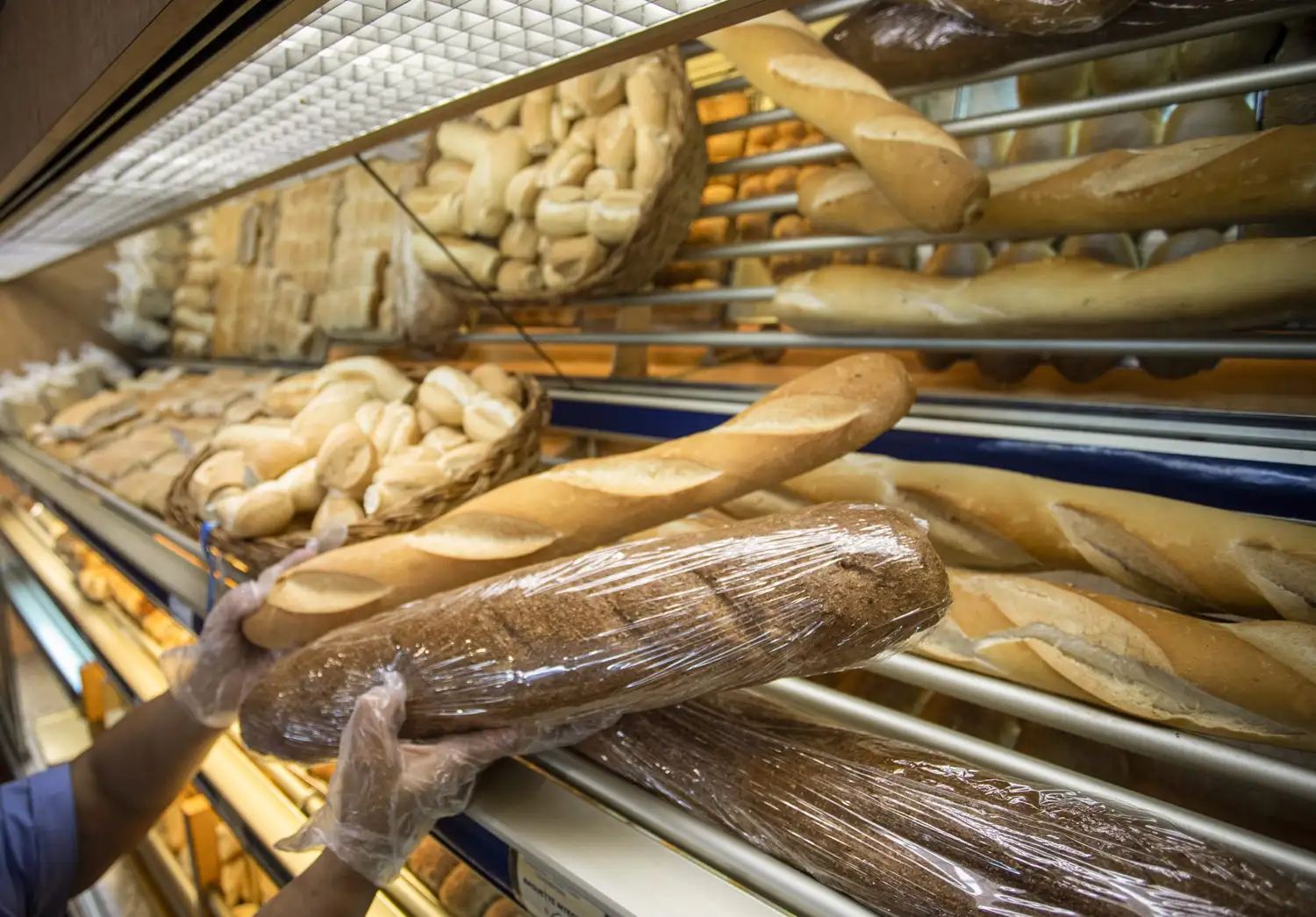 Subsidio a las panaderías podría contener el precio del pan