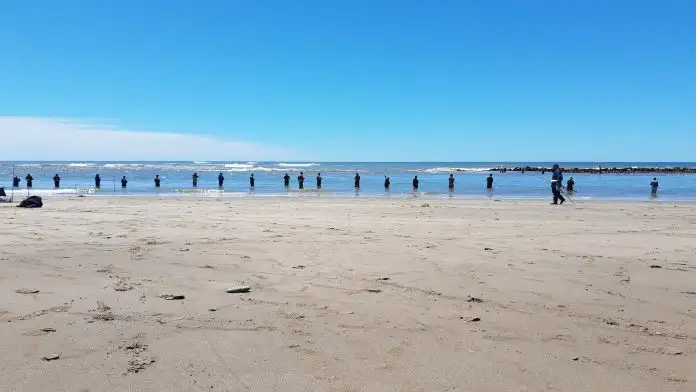 De Argentina, los proyectos seleccionados fueron el suyo y el de una bióloga de Puerto Madryn.