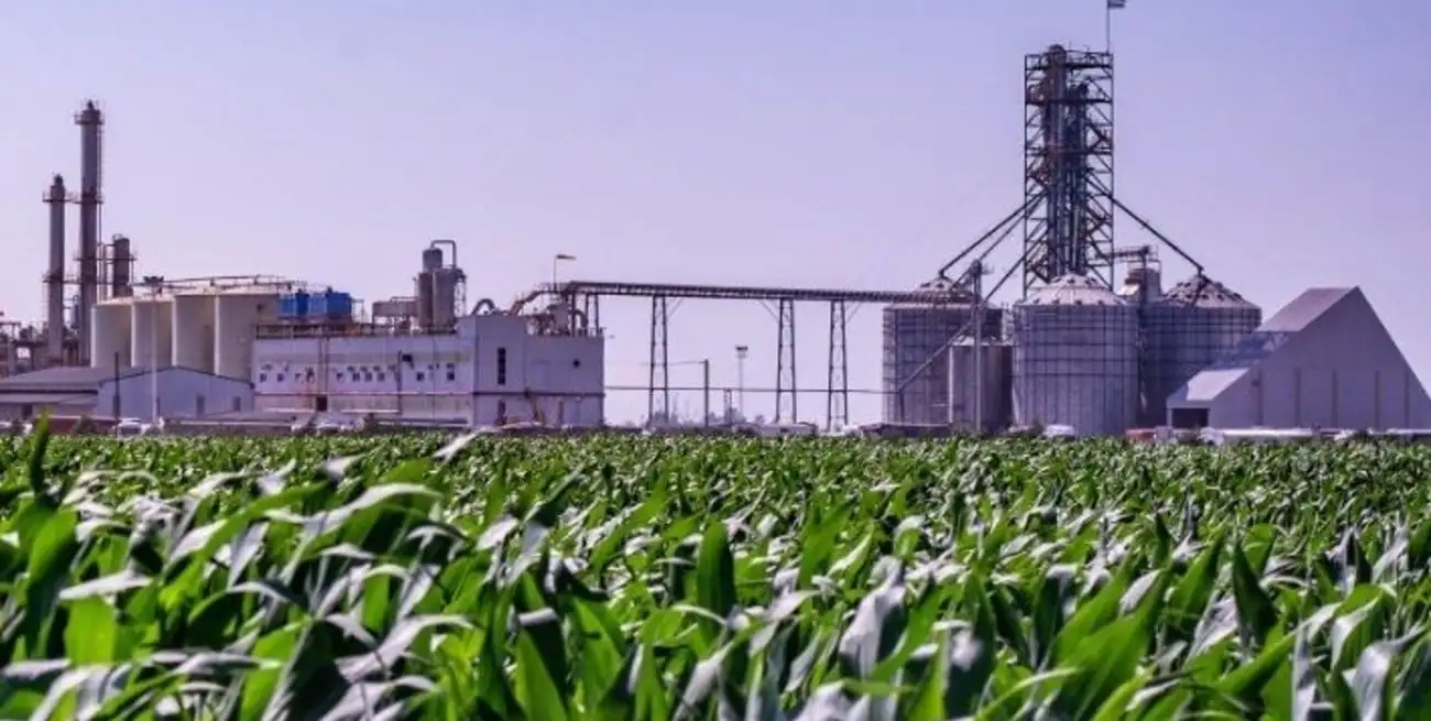 La provincia de Santa Fe concentra el 82% de la producción de biodiésel. La legislación nacional vigente le reserva un corte obligatorio del 5% en el diésel que deben comprar las petroleras. Por resolución ministerial, hoy esa proporción llega al 10%.