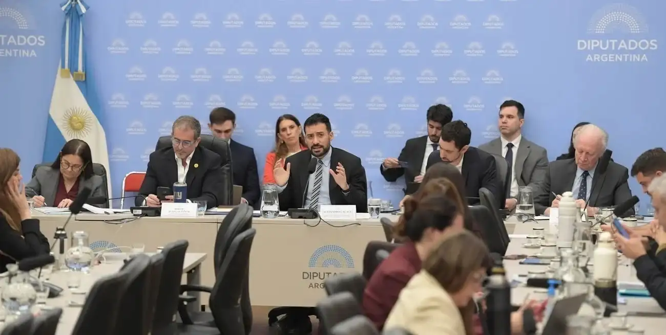 Durante la exposición ante la Comisión de Presupuesto en Diputados, funcionarios del Ministerio de Desregulación remarcaron el sentido económico del achicamiento estatal y el impacto de reducir costos y trámites en la administración pública. Foto: HCDN