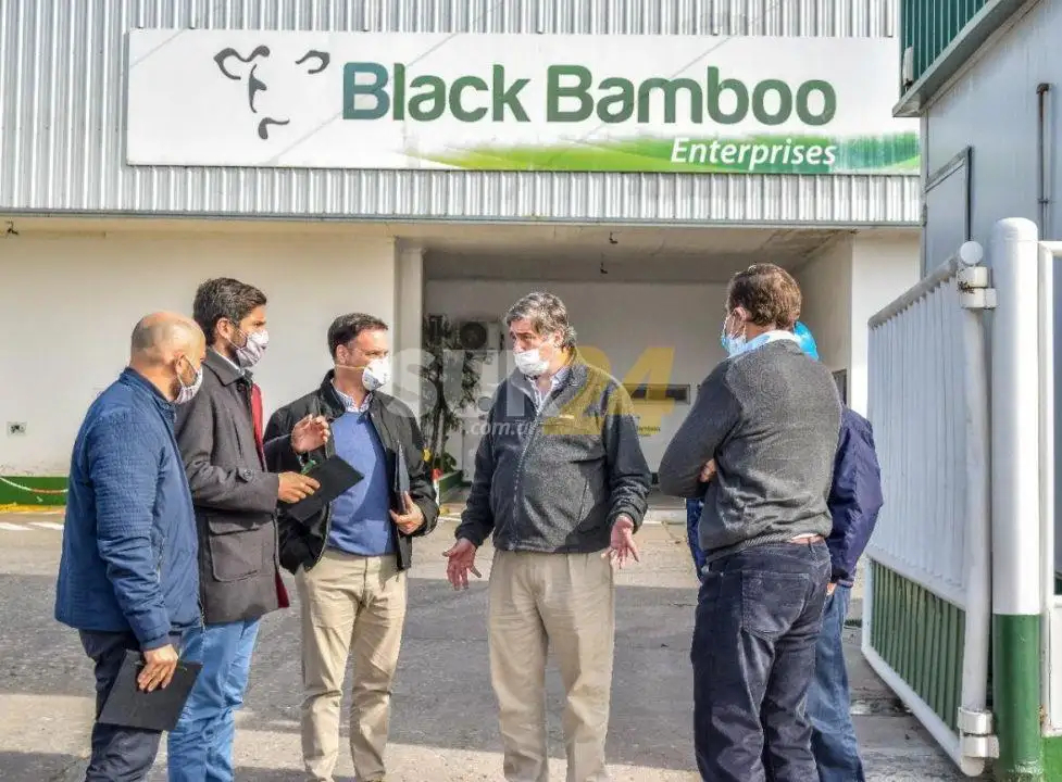 Black Bamboo se pone al frente del gasoducto para Hughes