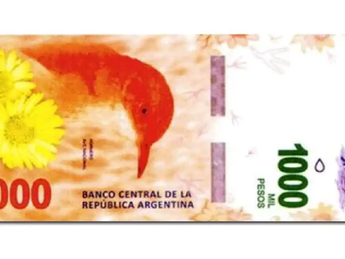 El billete de $1000 con la imagen del hornero estará en la calle en octubre