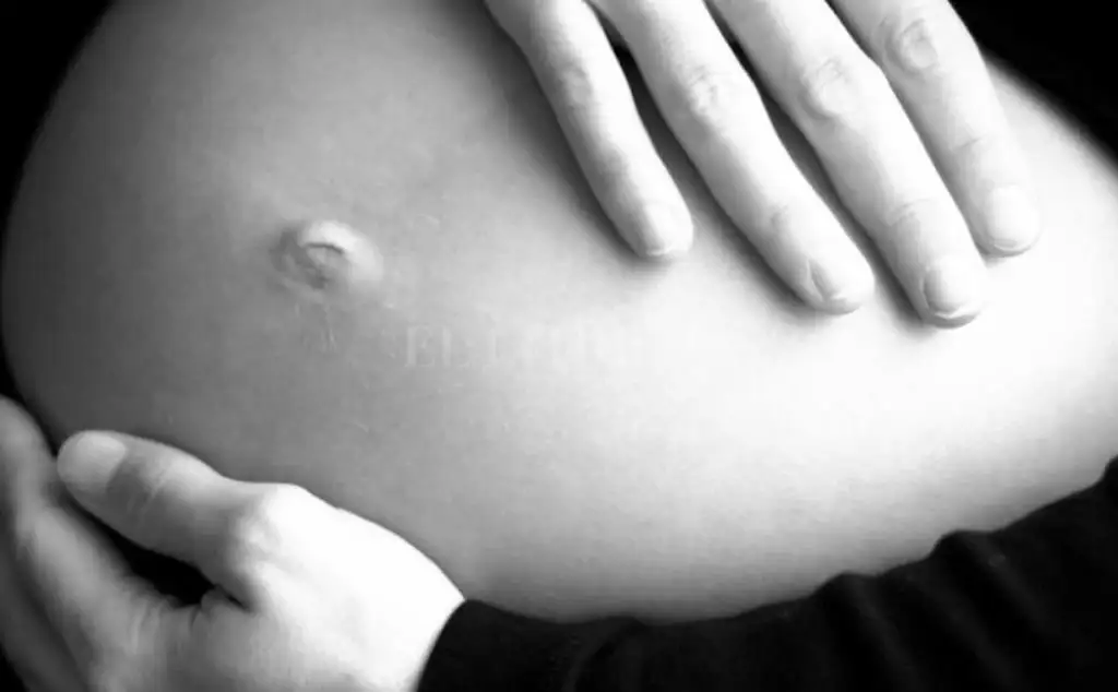 Iapos ya autorizó más de 1700 tratamientos de fertilización asistida