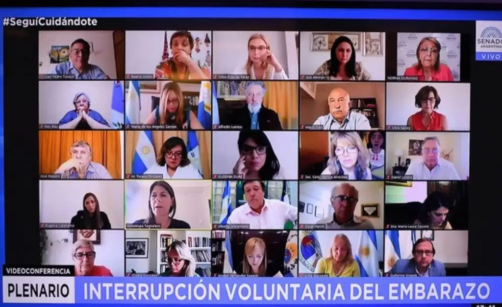 El proyecto de ley de aborto legal obtuvo dictamen en el Senado