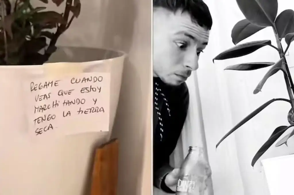 Su hermana lo sorprendió