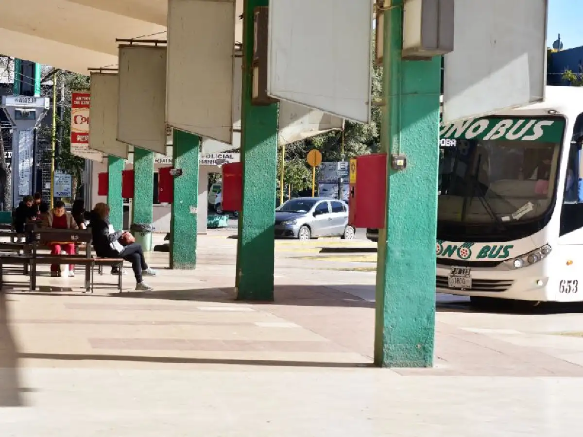 Dos jóvenes detenidos por  agredir a policías en la Terminal 