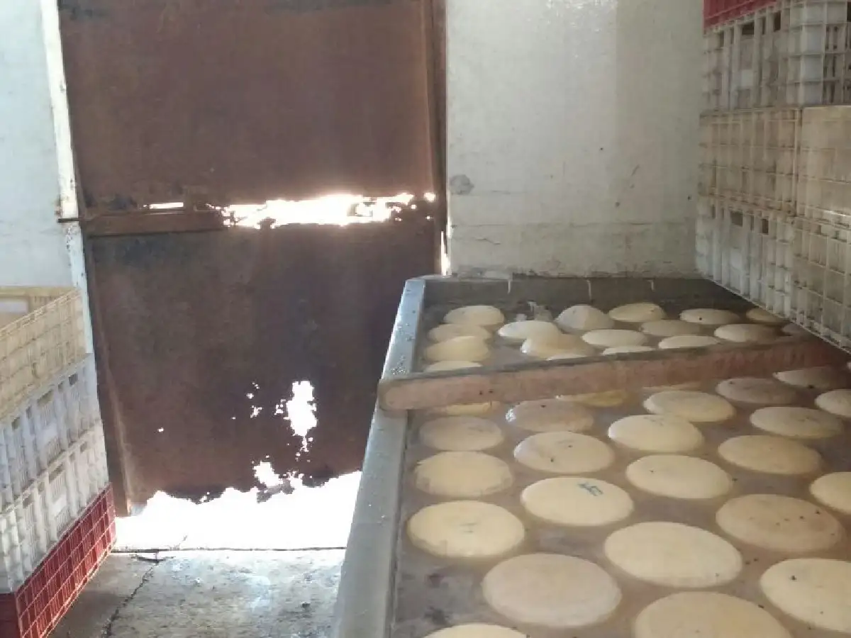Laspiur: por riesgo sanitario, secuestran 981 kilos de queso