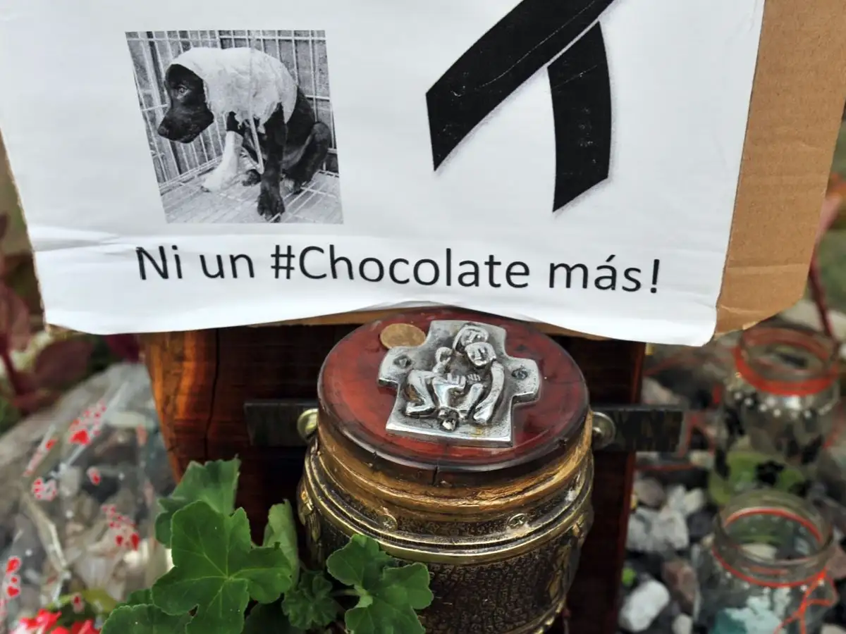 Realizarán homenaje a Chocolate  