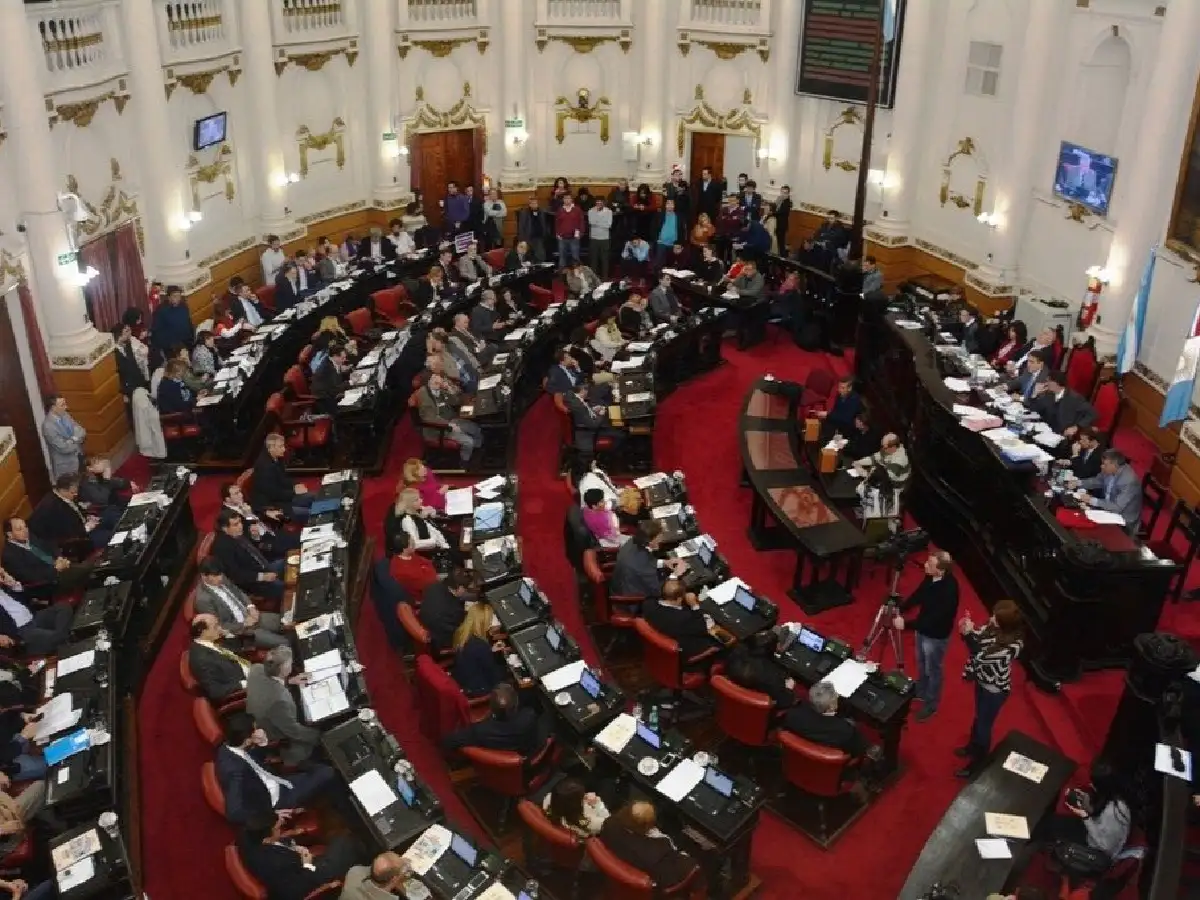 Legisladora presenta proyecto en rechazo a dichos de Carrió