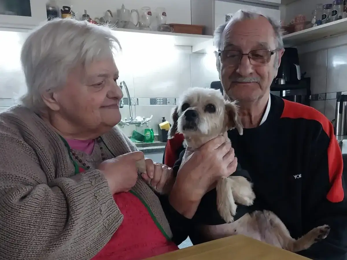 perros adoptados - 3