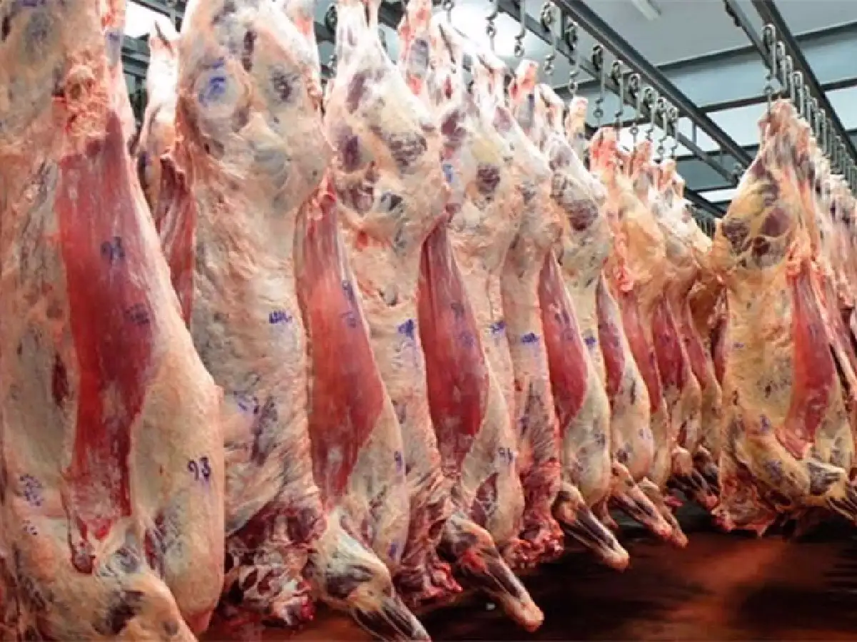 En dos años la exportación de carne vacuna creció 57% 