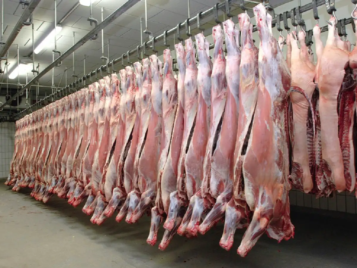 Carne vacuna: la exportación creció 70,3% en ocho meses    