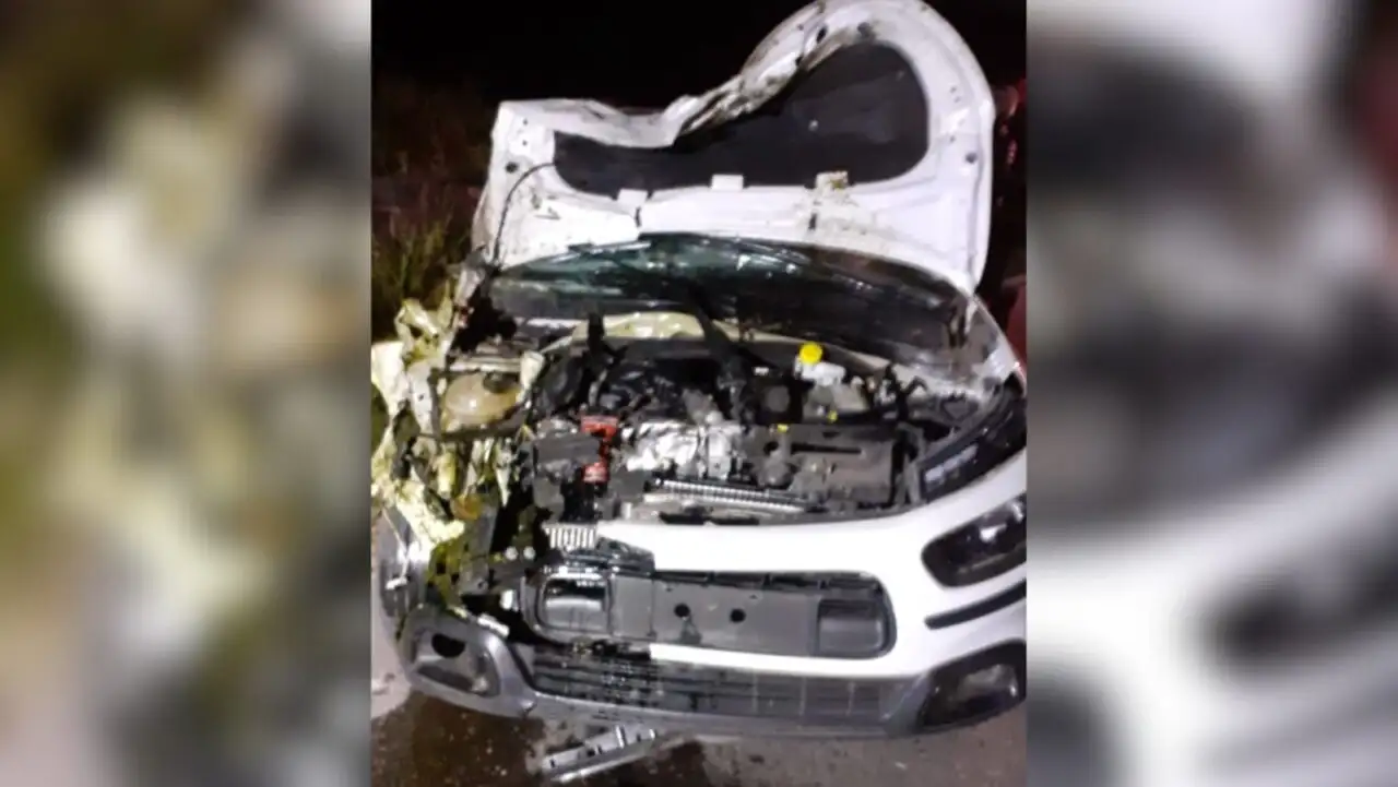 Brutal accidente en ruta 90: un firmatense chocó con un caballo suelto  