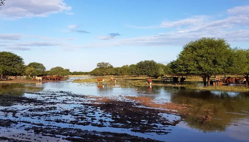El Gobierno declaró la emergencia agropecuaria para Chaco, Córdoba y Formosa