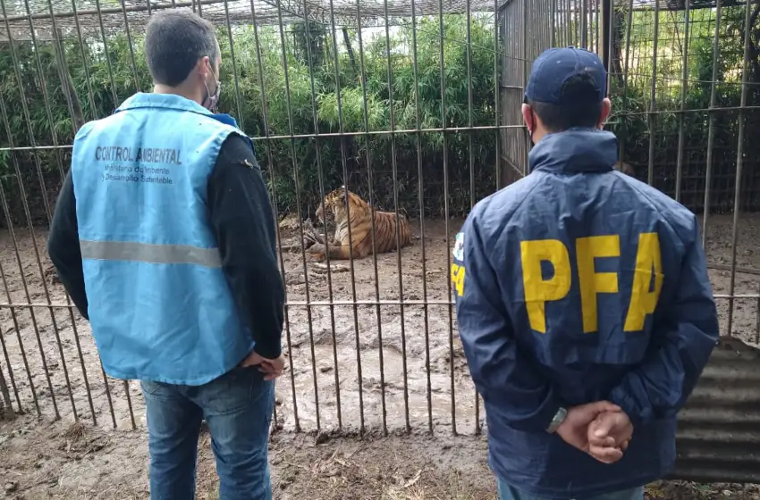 Tenía un “zoológico” en su campo y fue descubierto