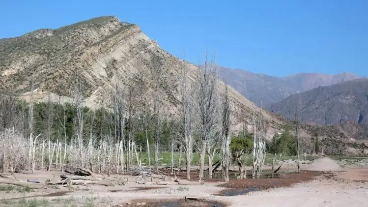 Por el cambio climático, Mendoza enfrentará su peor sequía histórica
