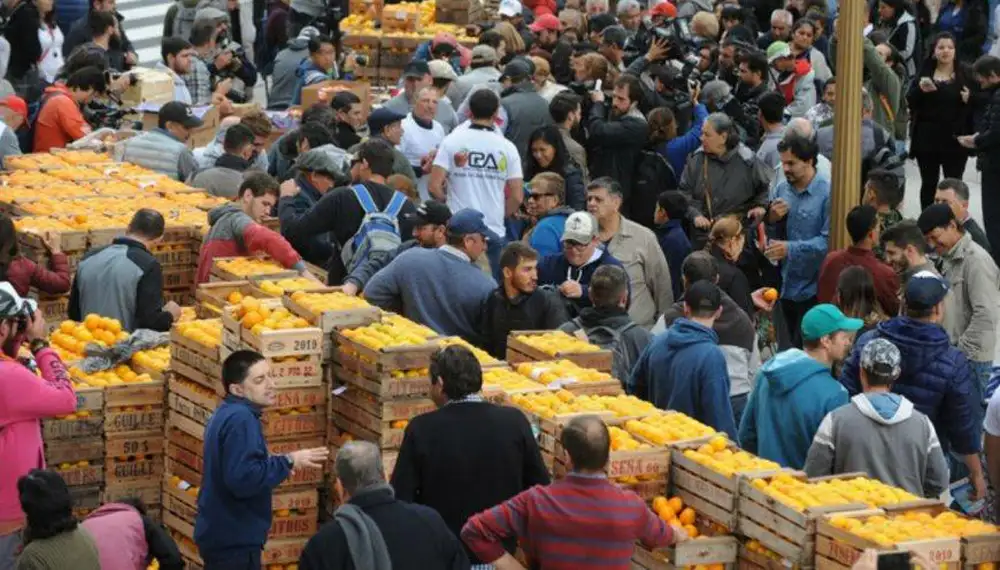 Citrícolas piden medidas urgentes y aseguran que la ley de Emergencia no se cumplió