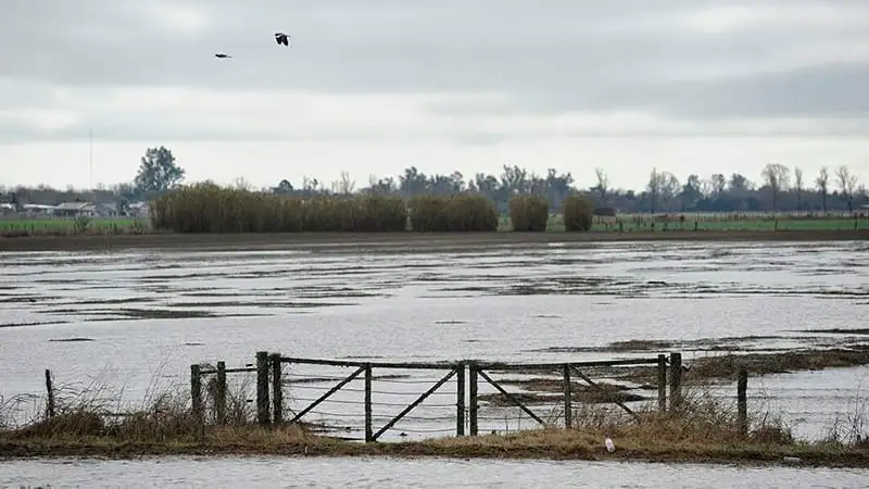 Ganaron los productores: no van a expropiar los campos afectados por La Picasa