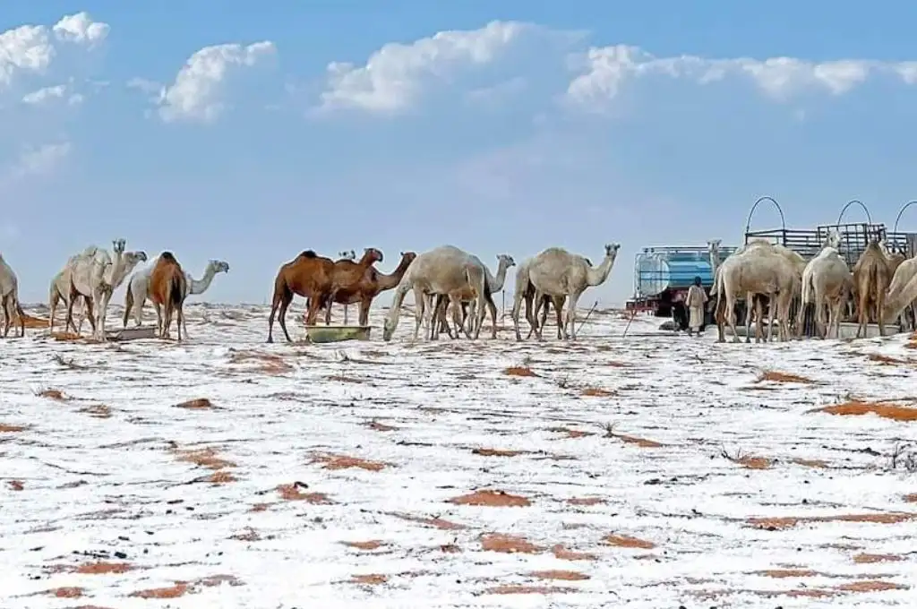 Nieve en el desierto de Sahara