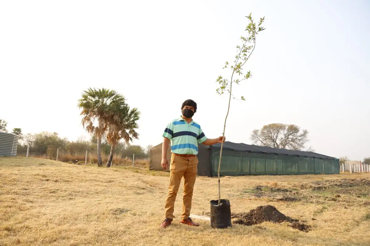 Programa Plantar para el Futuro: se plantaron cinco mil árboles durante el primer año del