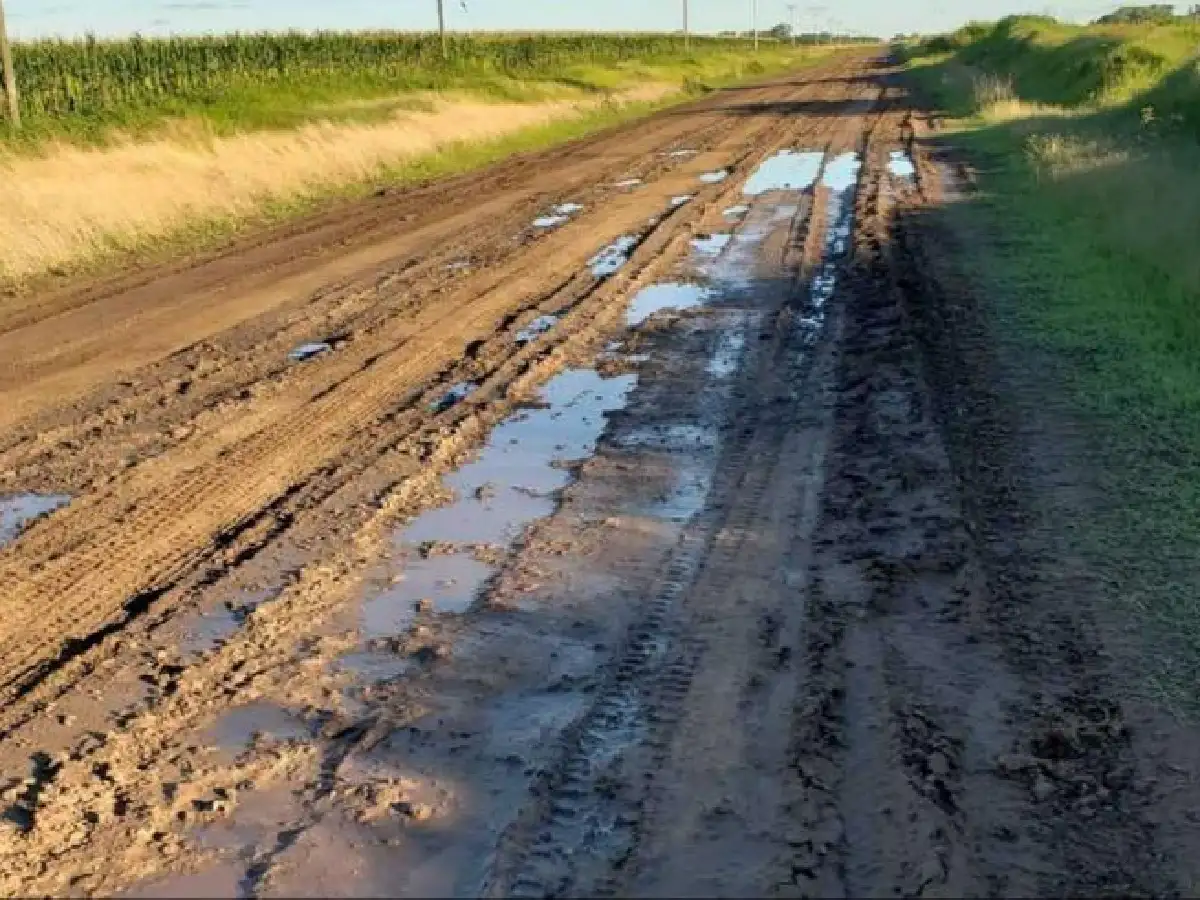 Ante la falta de respuestas, comenzó a arreglar los caminos rurales