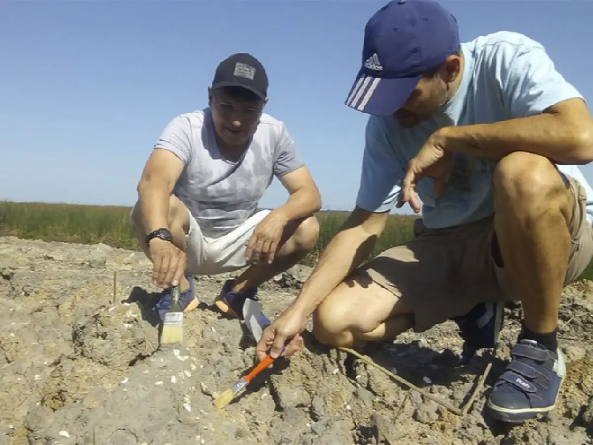 Encontraron huesos de perezosos de 20.000 años de antigüedad en una tosquera de San Pedro