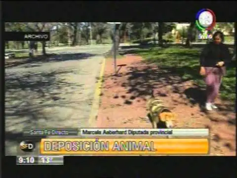 Dispensers para una ciudad limpia