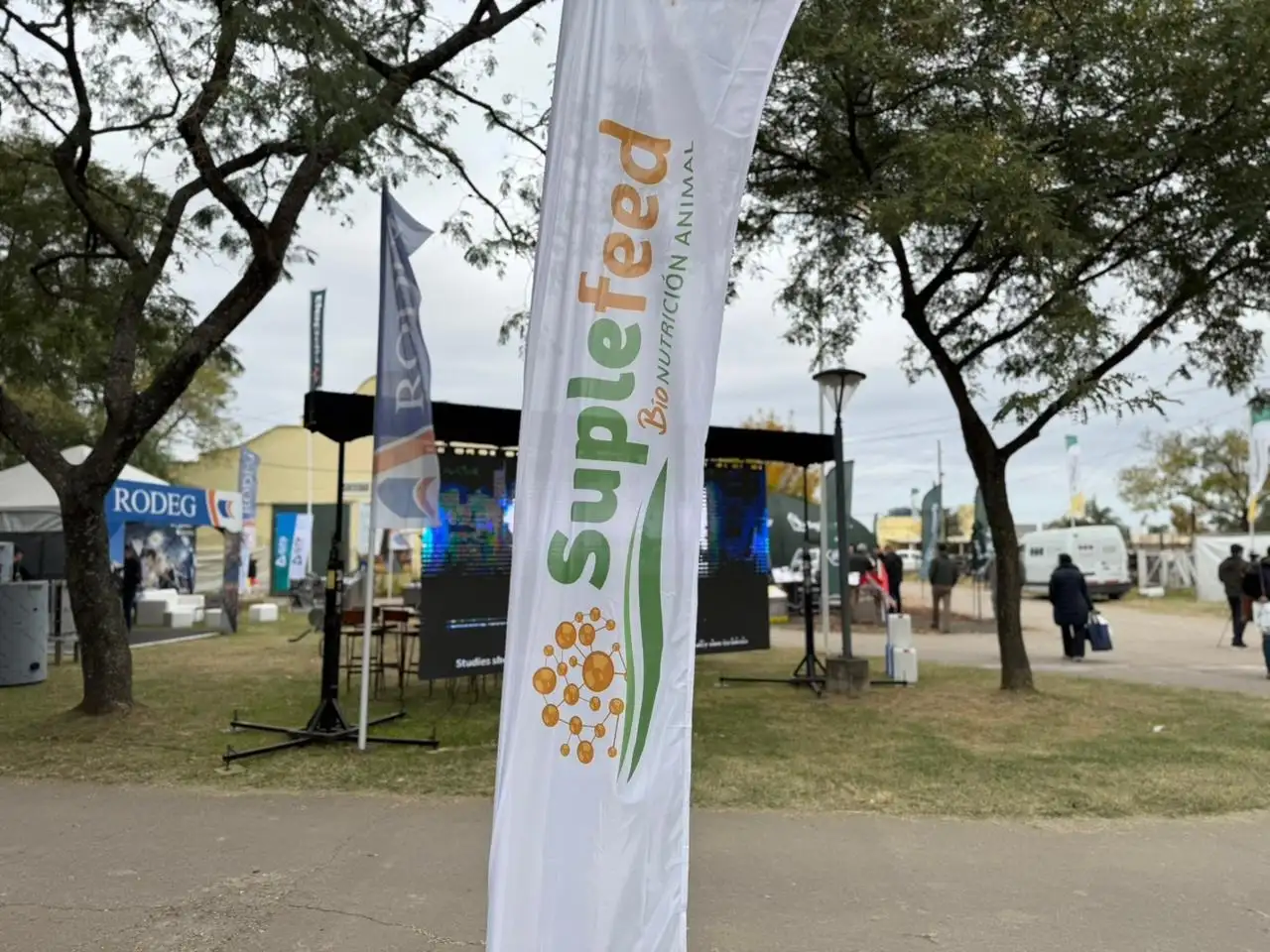 Suplefeed