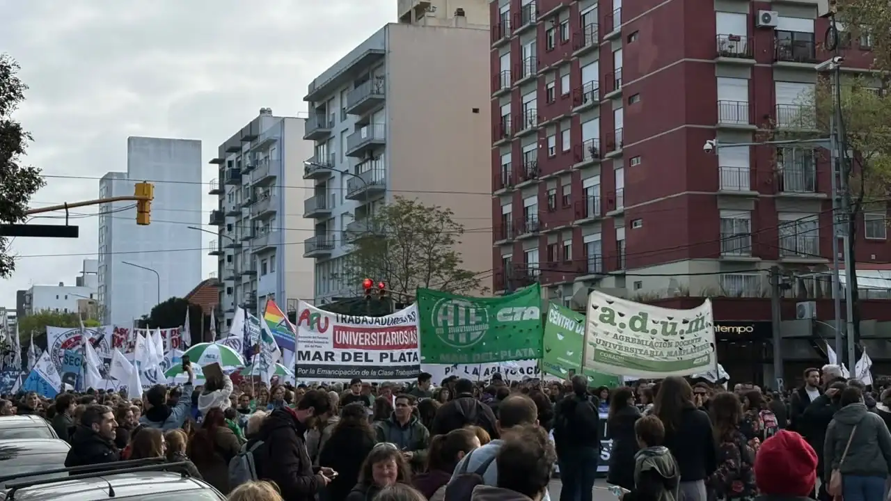 marcha universitaria - 2