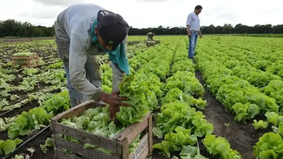 La Provincia realizará un Censo Hortiflorícola por primera vez en 20 años
