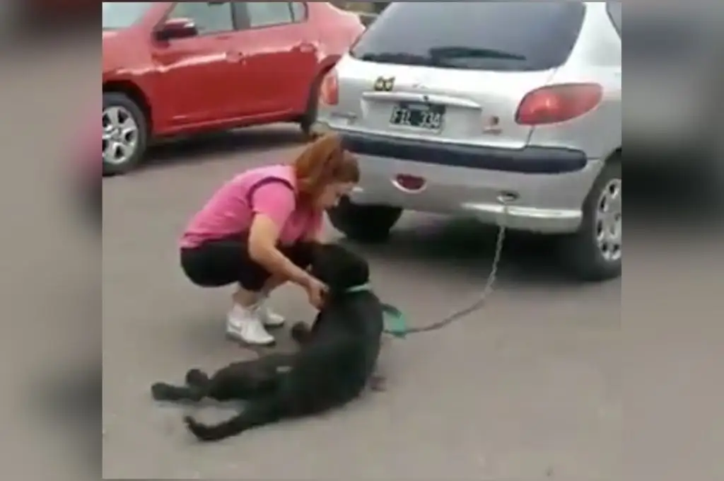 Deberá pagar 1.000 kilos de alimentos tras arrastrar a su perro con el auto