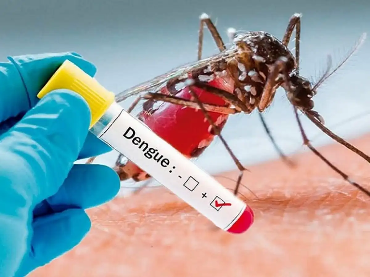 Dengue: primer caso autóctono en Devoto 