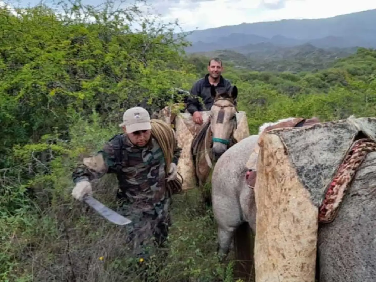 Rescataron a un parapentista sanfrancisqueño perdido en un cerro en La Rioja