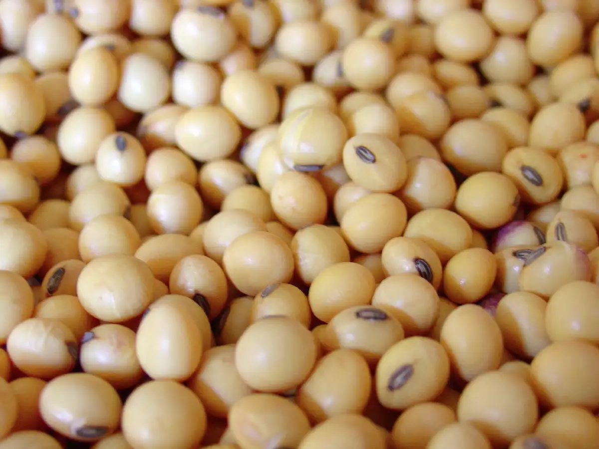 Afirman que el estado participa más de un 62 % en la renta agrícola