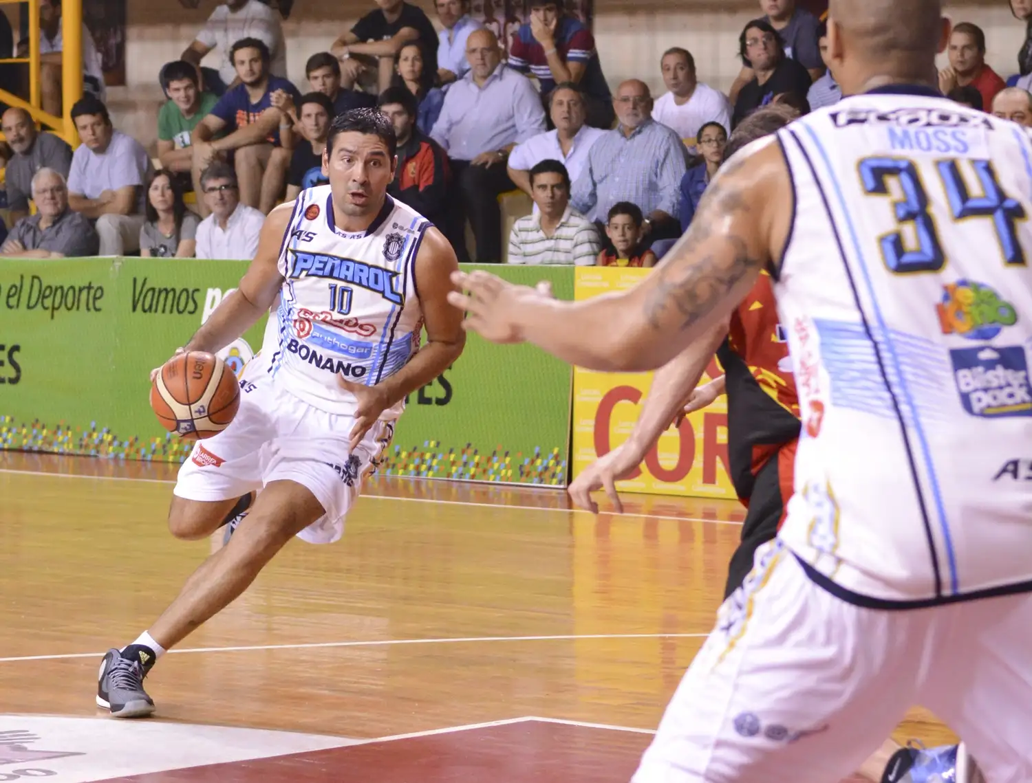 Moss tranquilo
