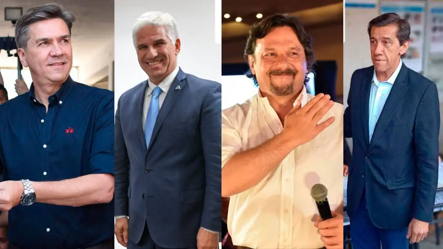 Se cerraron los comicios en Chaco, San Luis, Salta y Jujuy. (Foto: Senado/ X-@LeandroZdero-@GustavoSaenzOK-@carlossadirjuy).