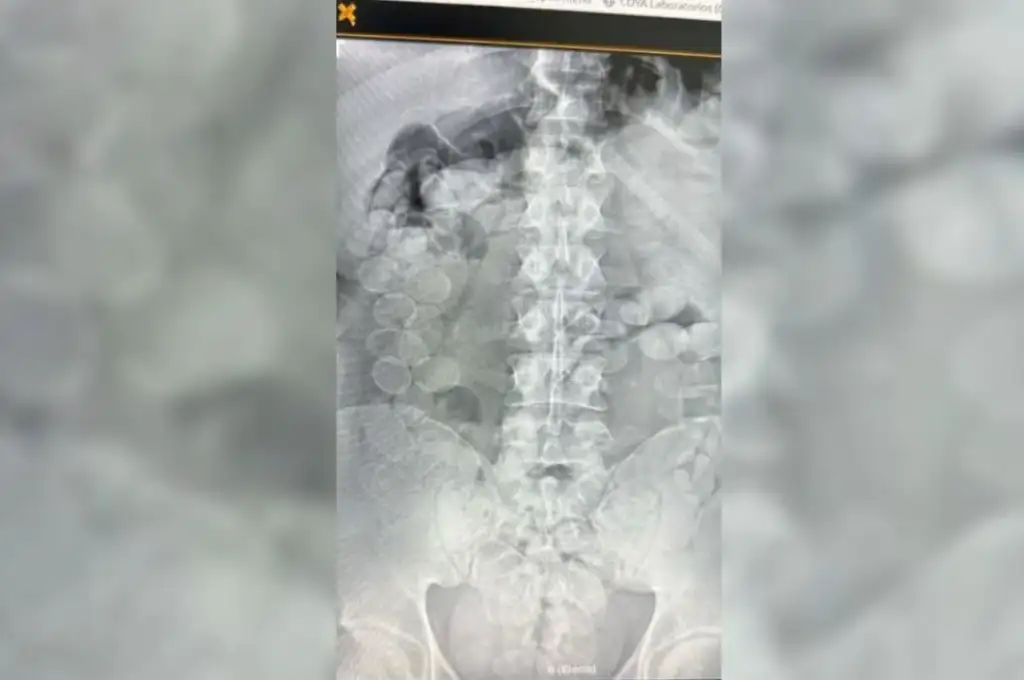 droga incautada en Ceres 1