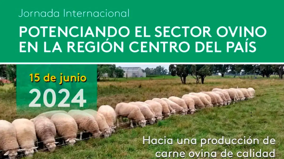 Invitación