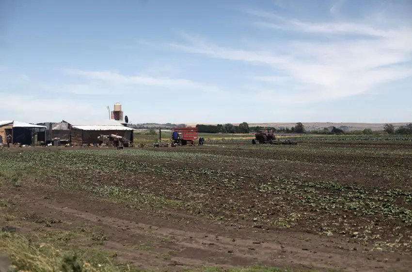 Frutihortícolas: "El radar mejorará la efectividad de la producción"