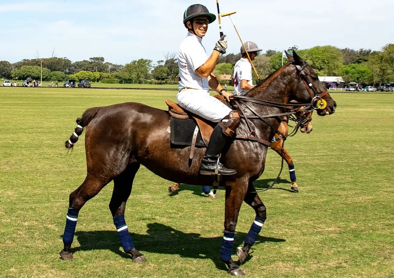 polo