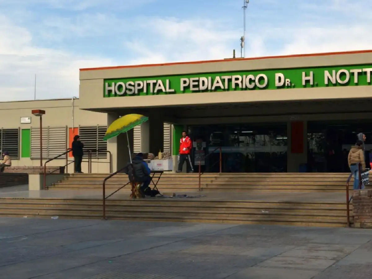 Un gato le comió tres dedos a un bebé mientras dormía