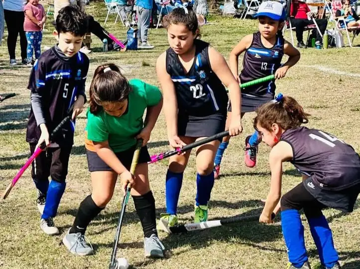 Escuelas deportivas