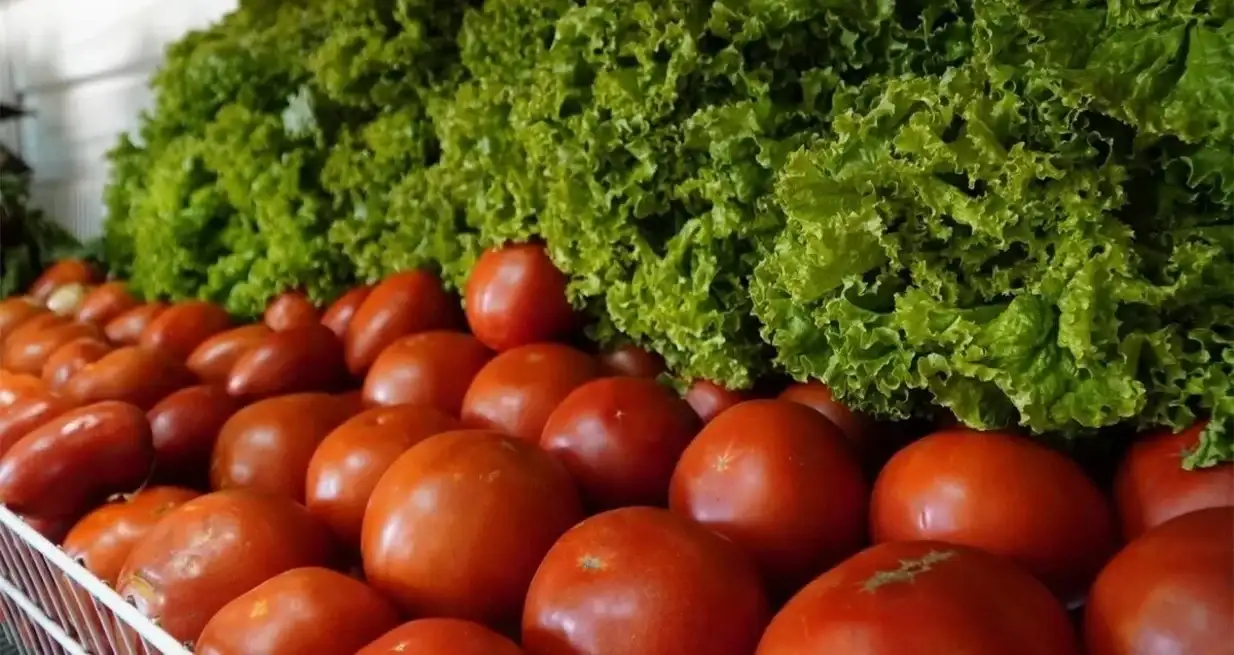 Los precios de alimentos y bebidas superaron el 10% en abril: cuáles fueron los que más aumentaron