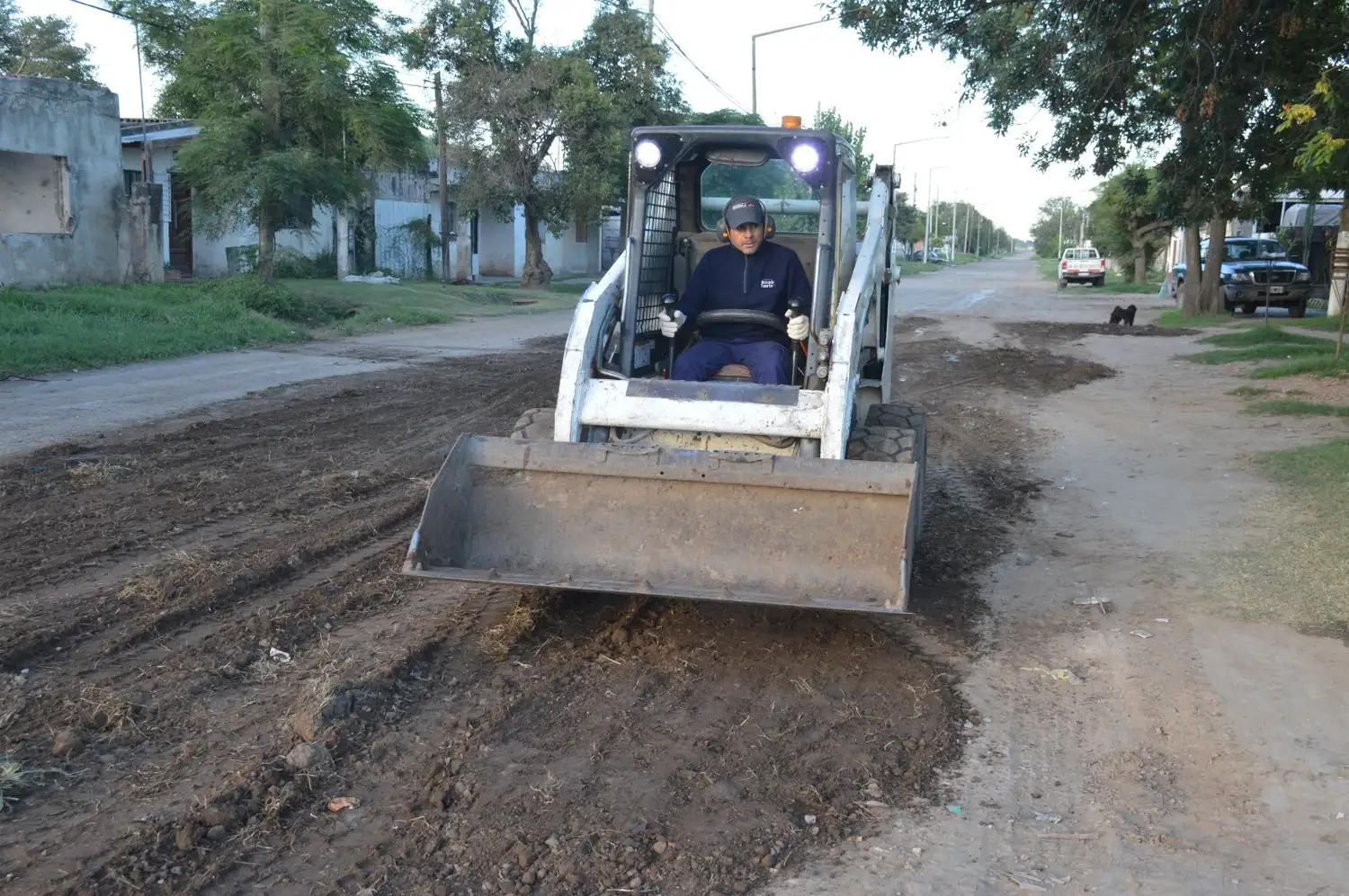 Arreglo de calles Venado