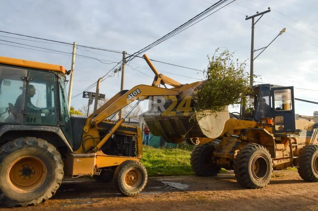 El Municipio intensifica las tareas de poda, desmalezado y limpieza en paseos y espacios públicos