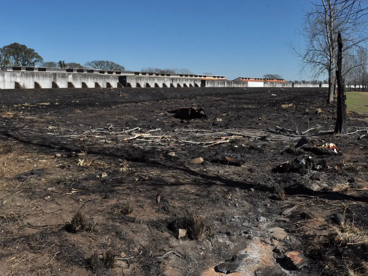  Hasta ocho salidas diarias de bomberos por quema de pasto