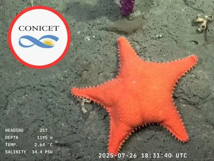 La “estrella culona” salió de Mar del Plata y ahora recorrerá la provincia