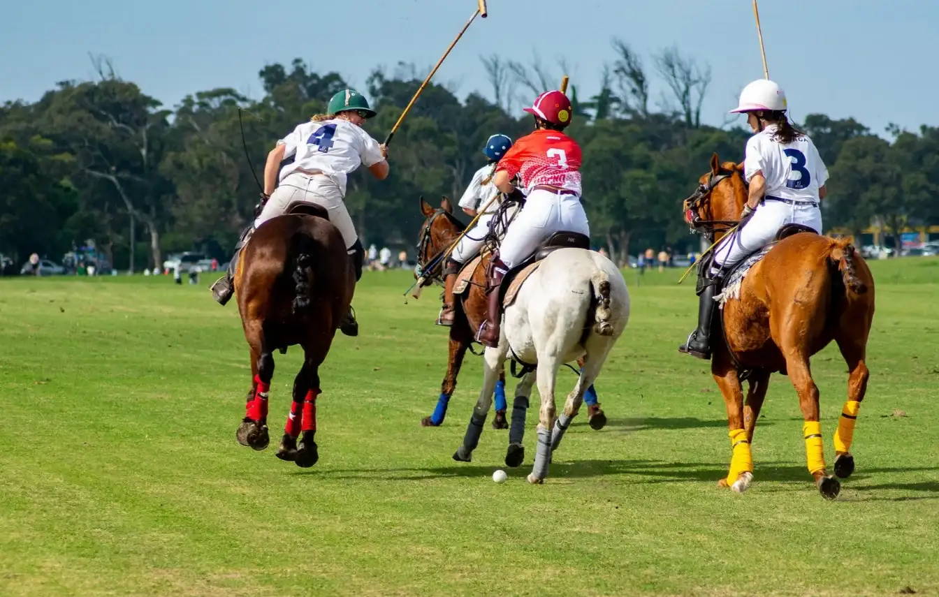 polo