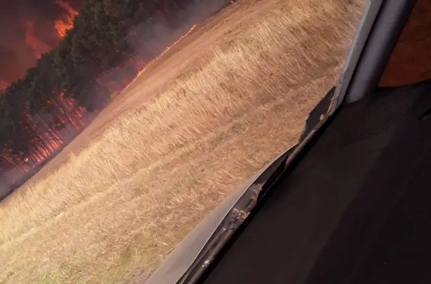 Miramar: combaten incendio forestal en el camino a Mar del Sud
