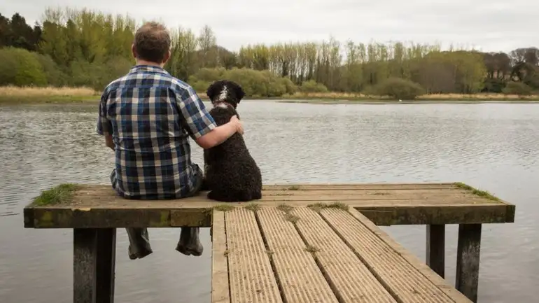 Por qué se puede amar más a un perro que a un amigo